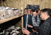 Big News : मुख्यमंत्री धामी ने किया हरिद्वार के बुग्गावाला में ‘मशरूम ग्राम’ का शुभारंभ, किसानों की आय बढ़ाने की नई पहल